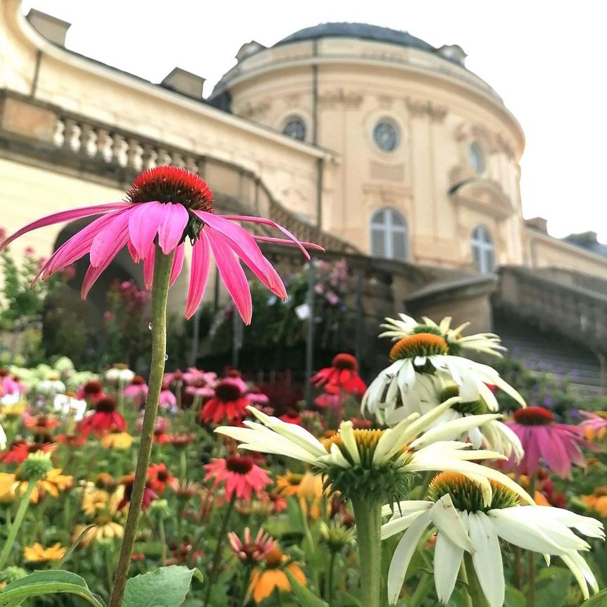 Schloss Solitude, Impression der Veranstaltung „Home & Garden“