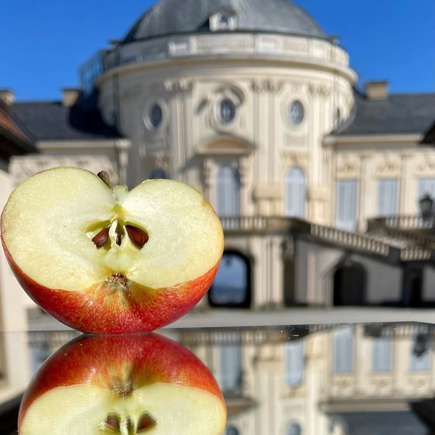 Schloss Solitude, Apfel vor dem Schloss
