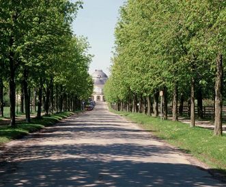 Schloss Solitude, aussen, Solitudeallee