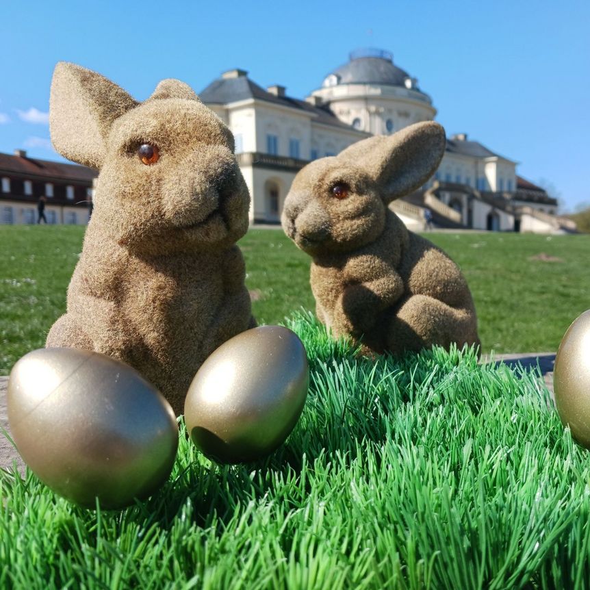 Schloss Solitude, Event, Osteraktionen, Hasen im Schlossgarten