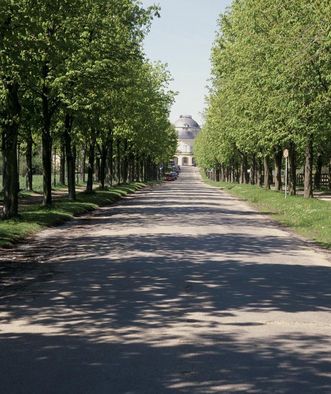 Allee zum Schloss Solitude